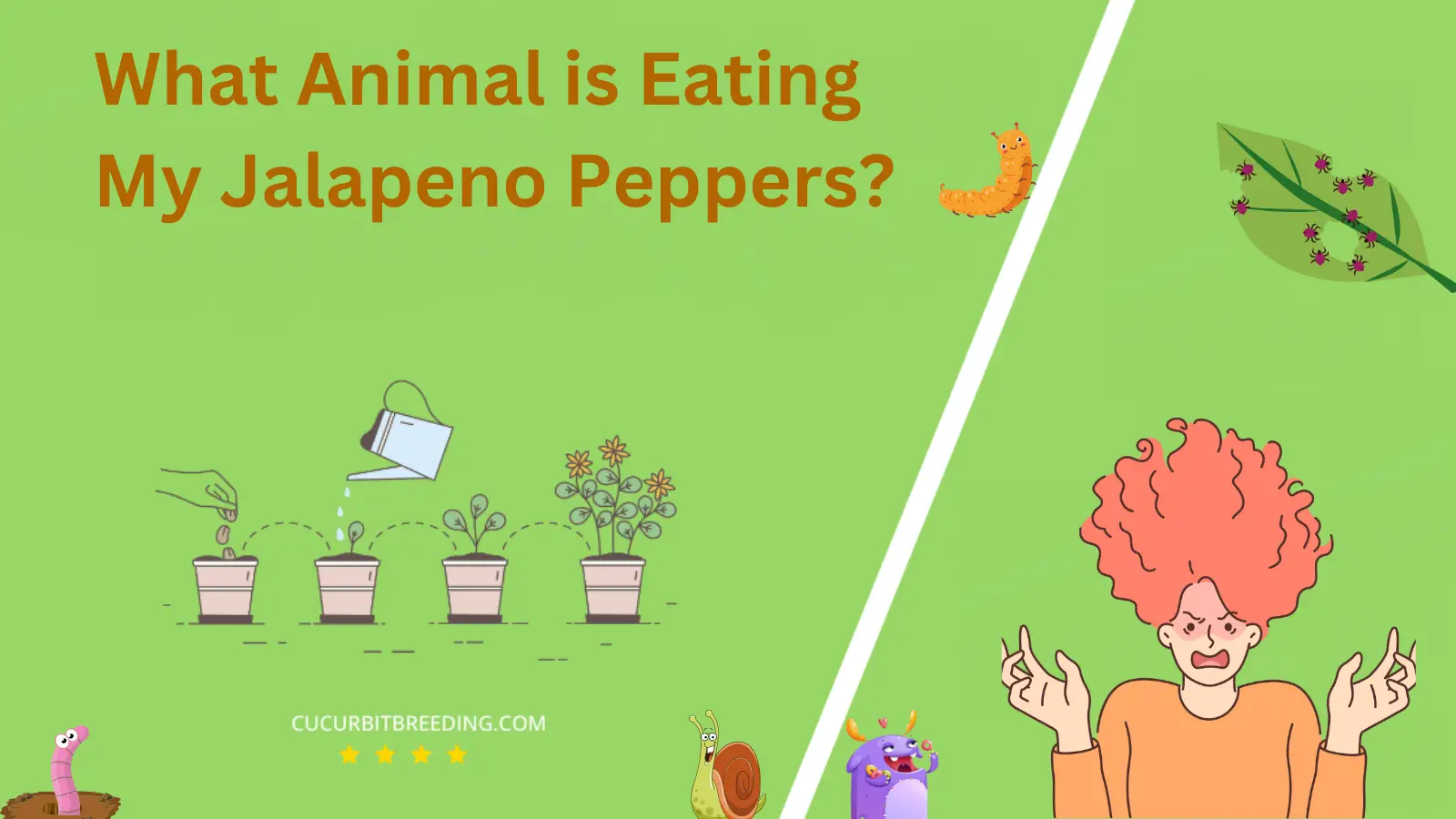 What Animal is Eating My Jalapeno Peppers