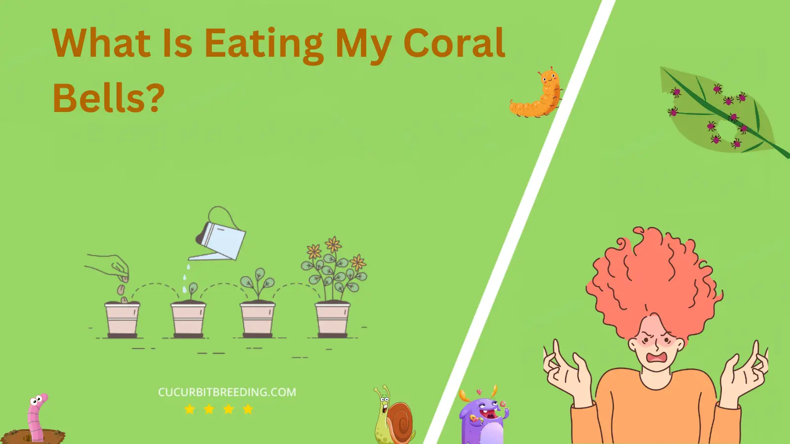What Is Eating My Coral Bells
