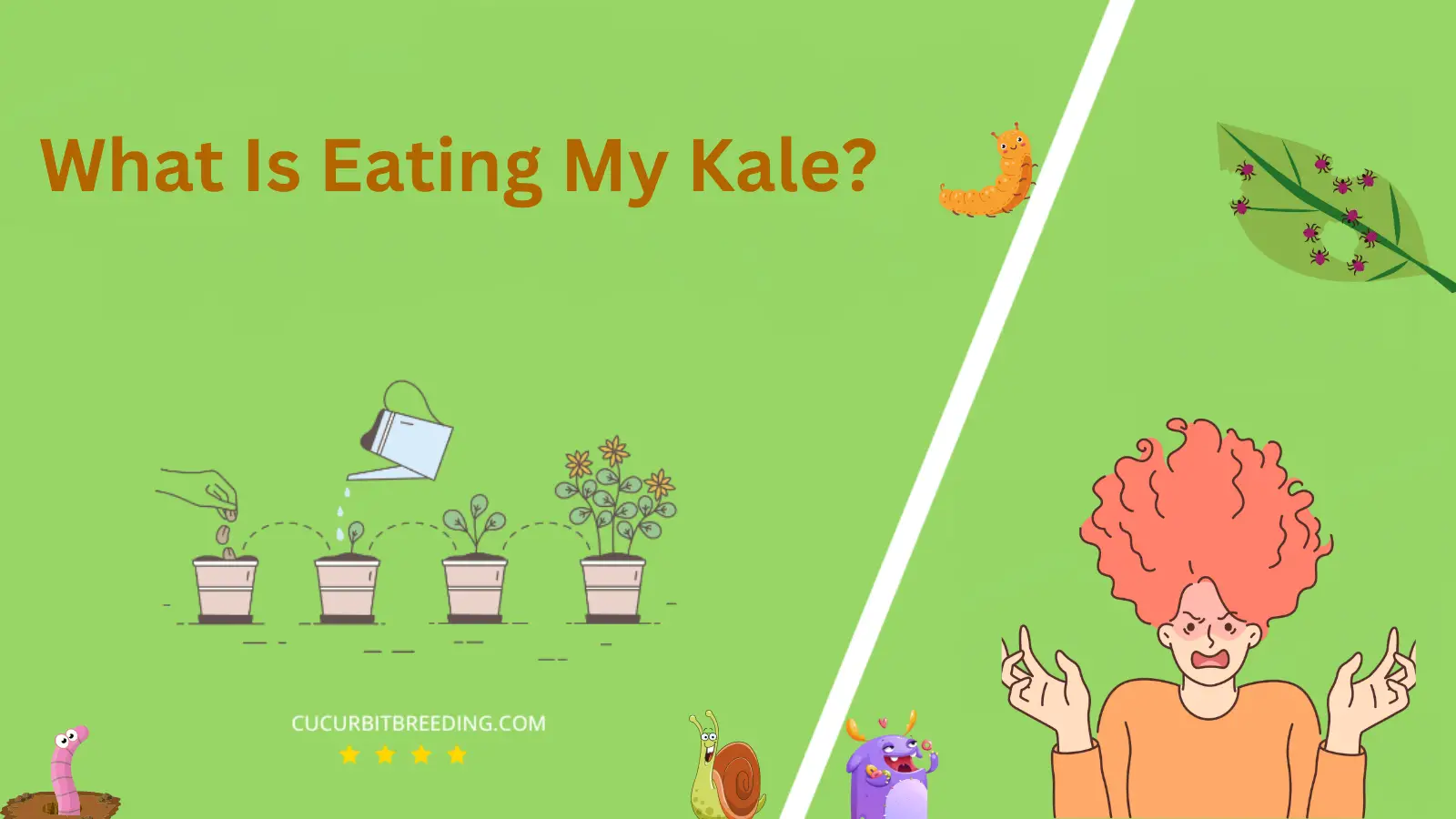 What Is Eating My Kale