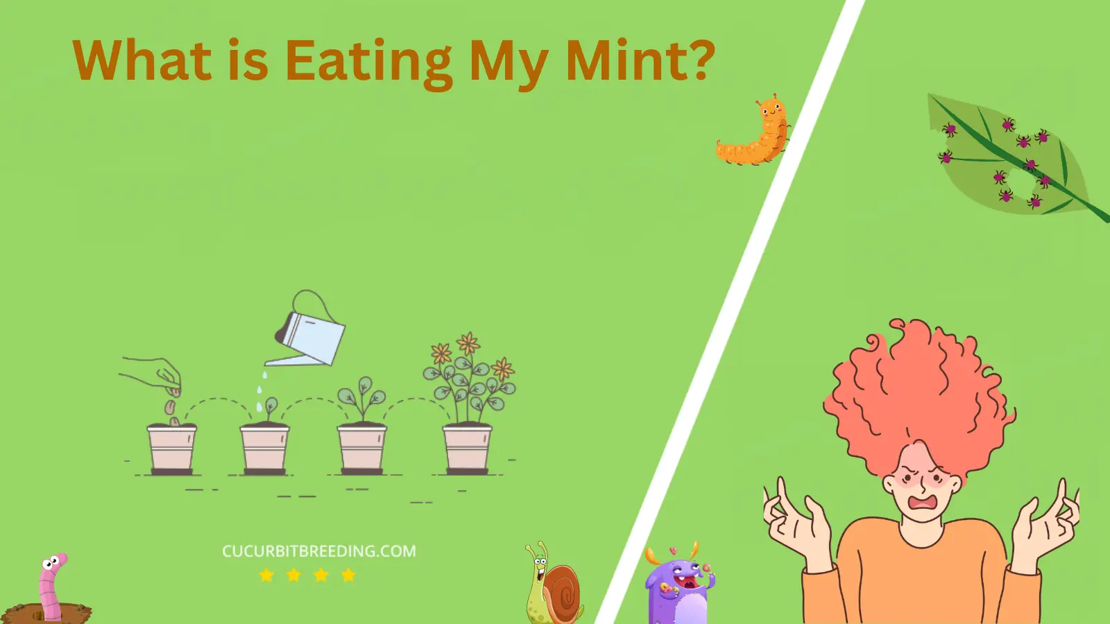 What is Eating My Mint