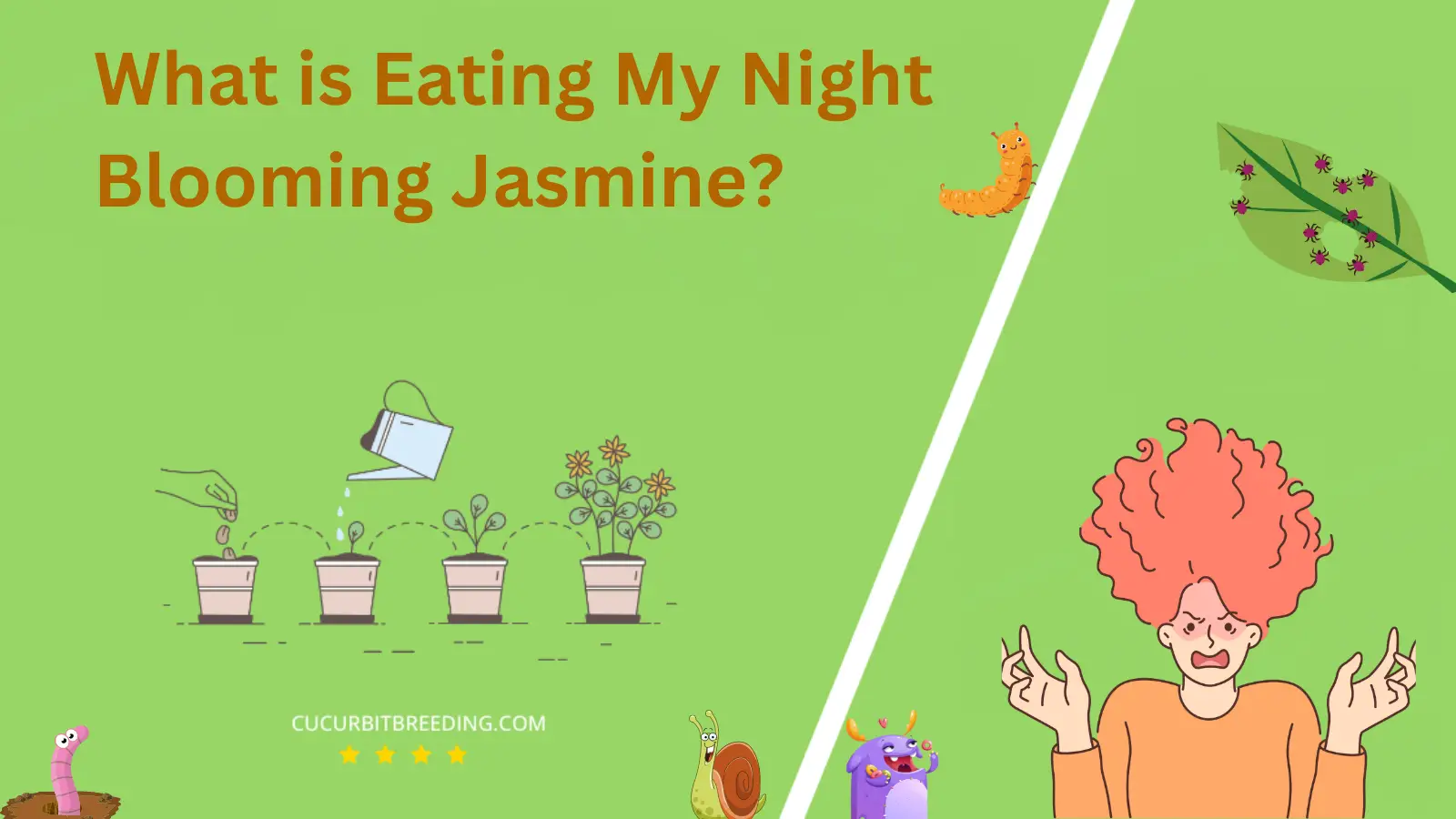 What is Eating My Night Blooming Jasmine