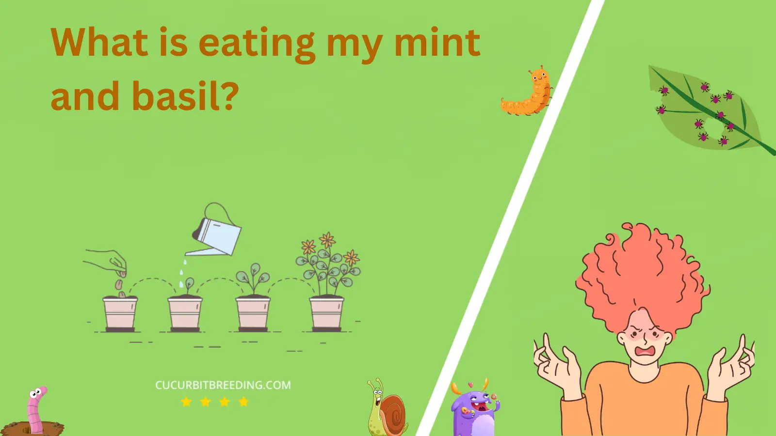 What is eating my mint and basil
