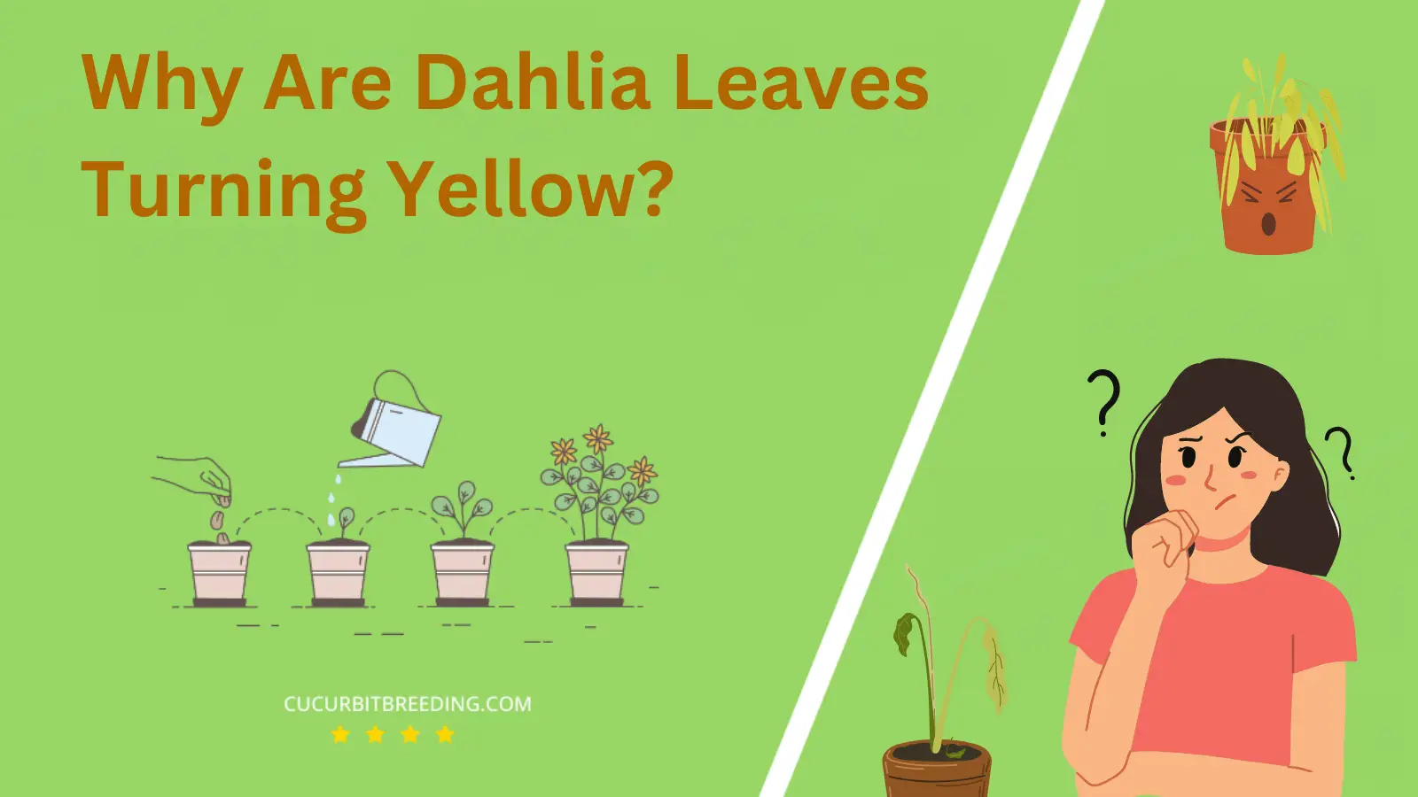 Why Are Dahlia Leaves Turning Yellow