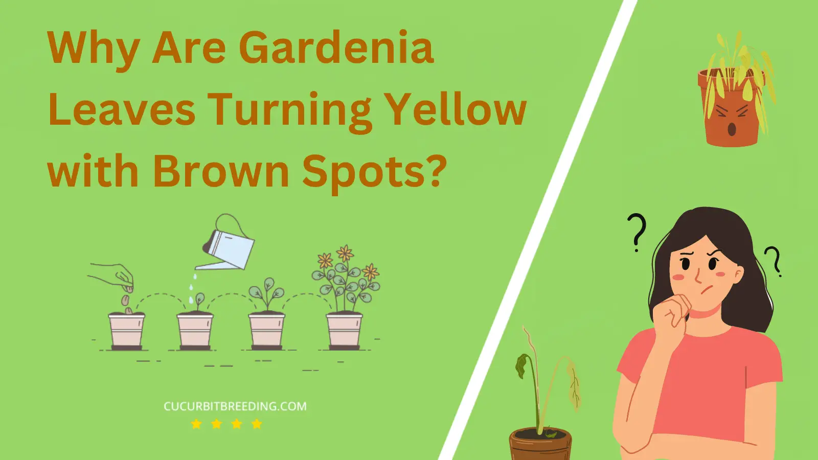 Why Are Gardenia Leaves Turning Yellow with Brown Spots