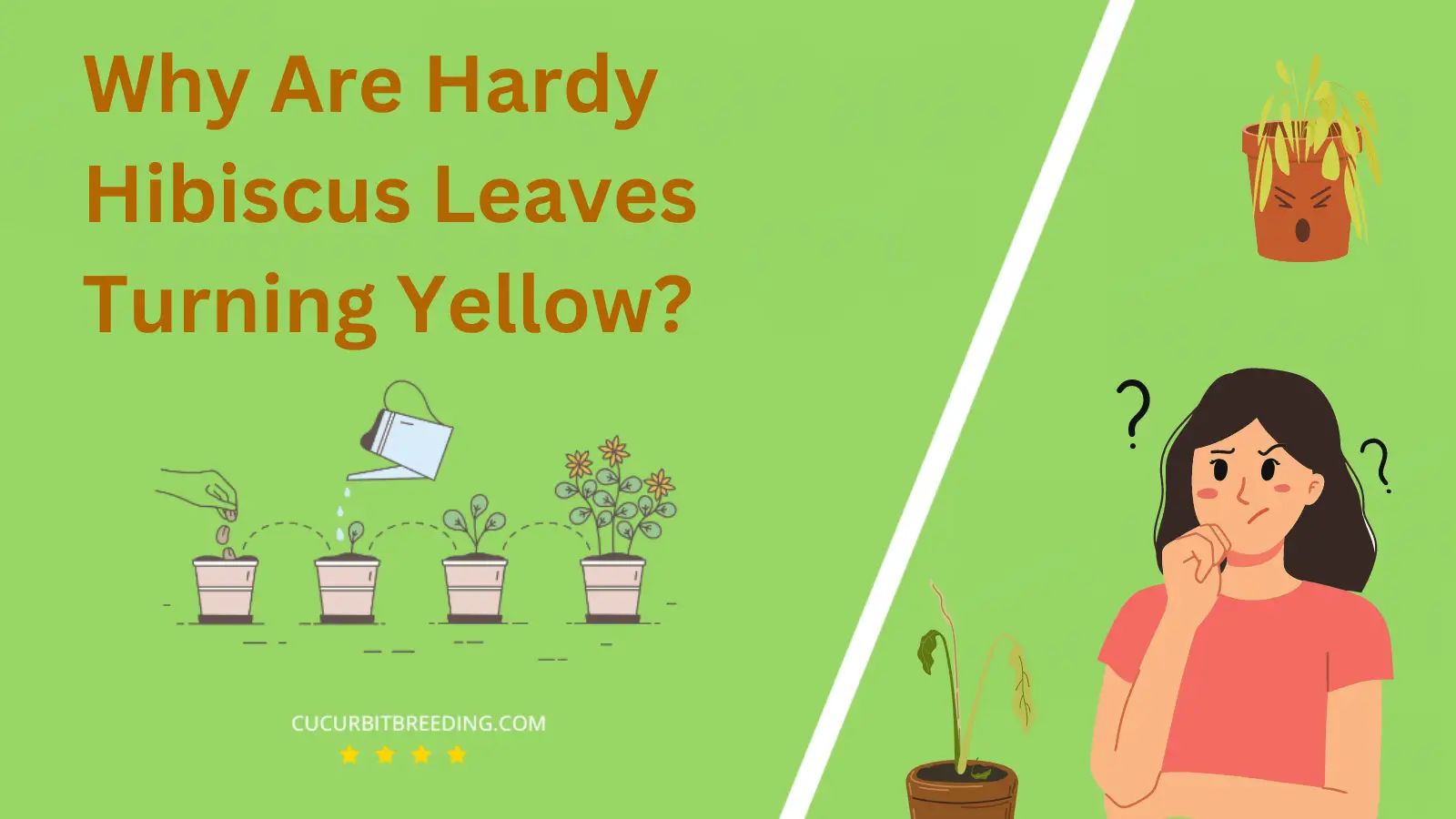 Why Are Hardy Hibiscus Leaves Turning Yellow