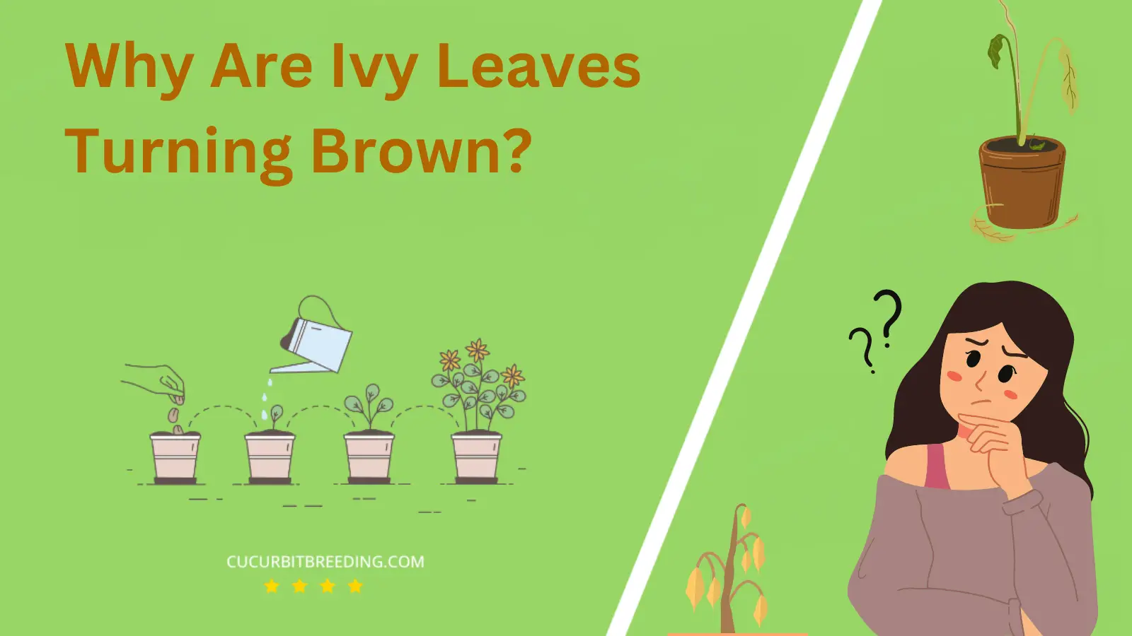Why Are Ivy Leaves Turning Brown