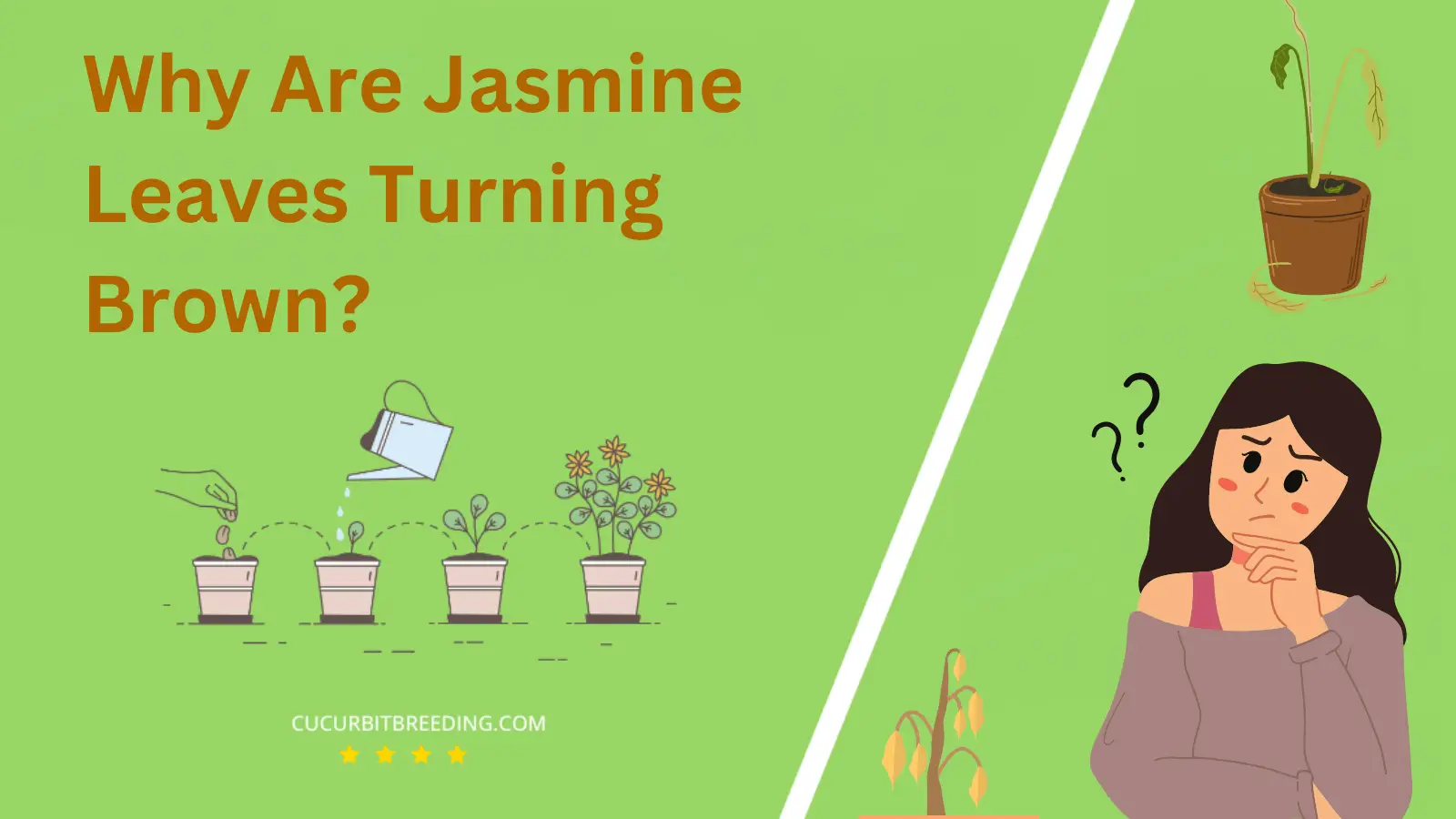 Why Are Jasmine Leaves Turning Brown