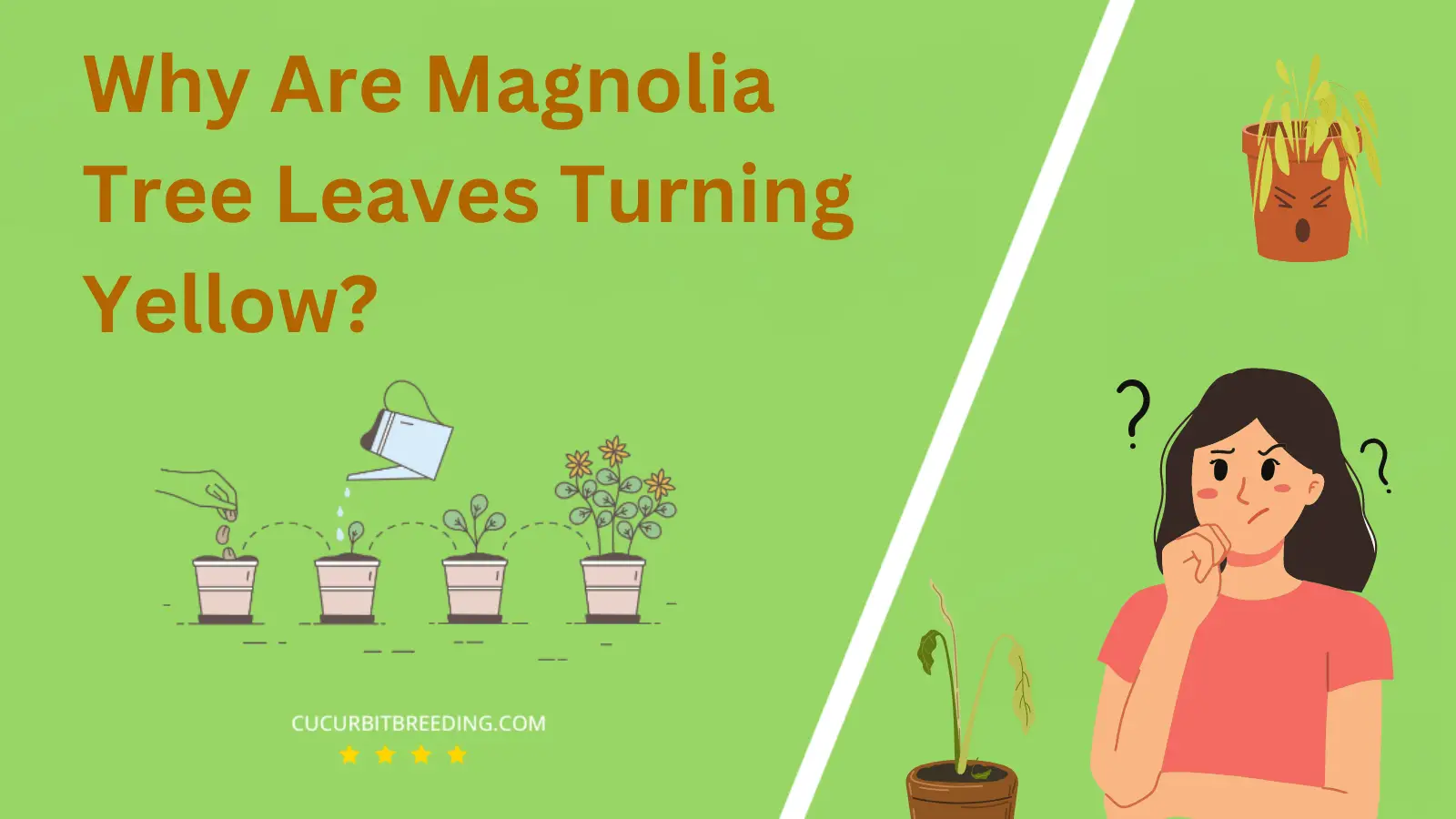 Why Are Magnolia Tree Leaves Turning Yellow