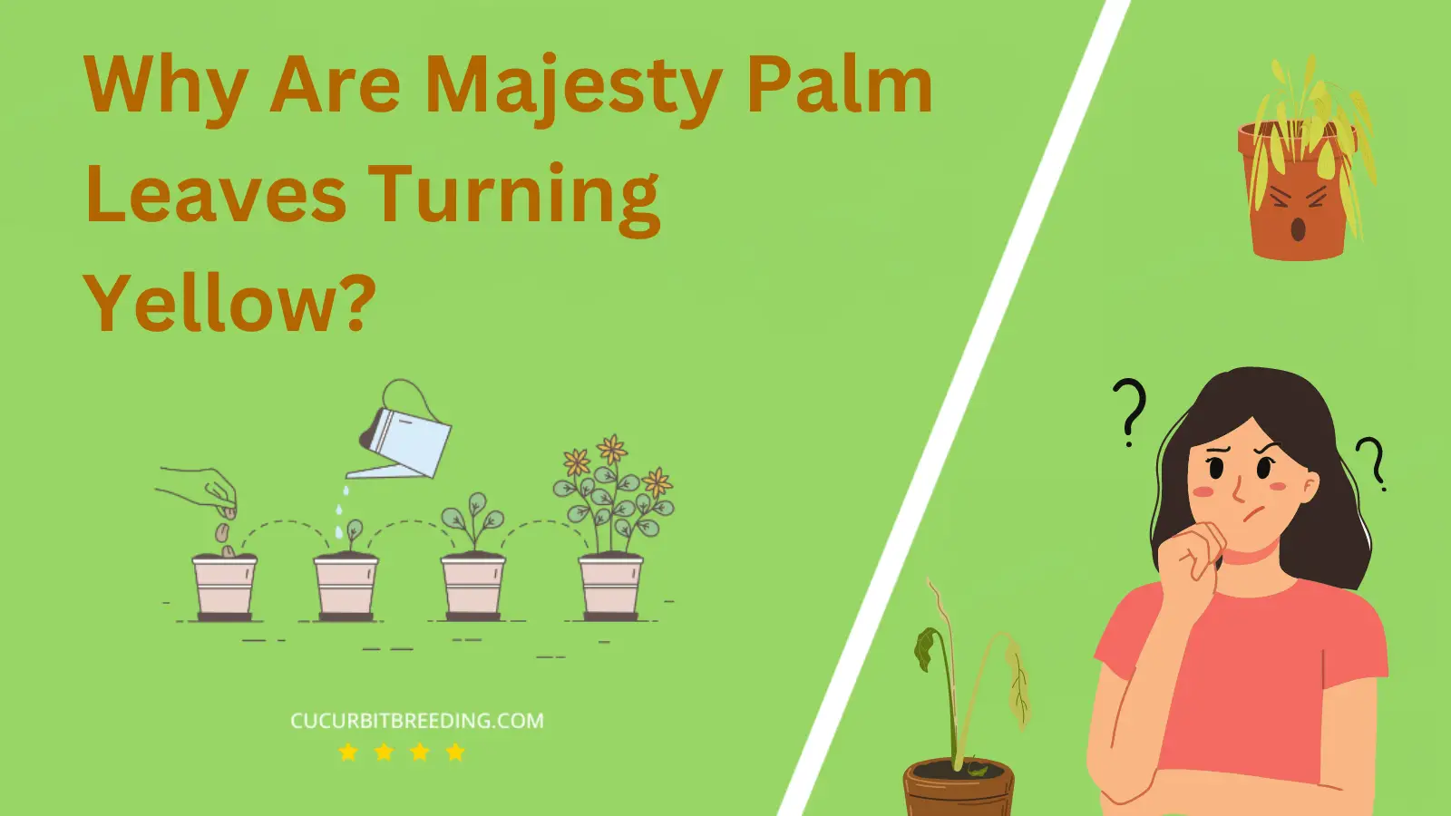 Why Are Majesty Palm Leaves Turning Yellow