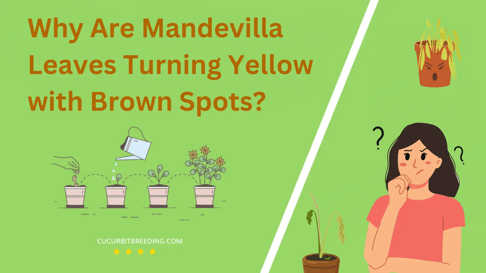 Why Are Mandevilla Leaves Turning Yellow with Brown Spots
