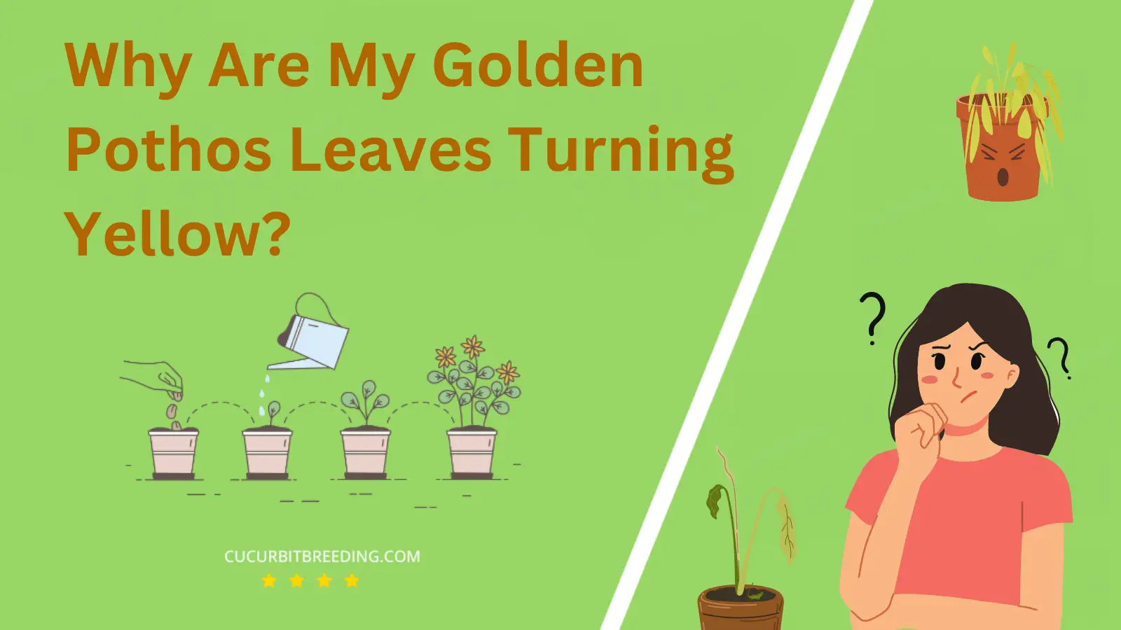 Why Are My Golden Pothos Leaves Turning Yellow