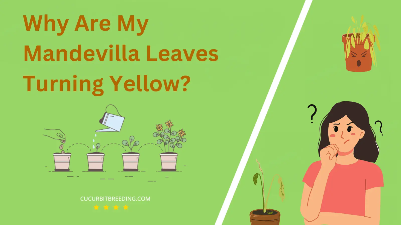 Why Are My Mandevilla Leaves Turning Yellow