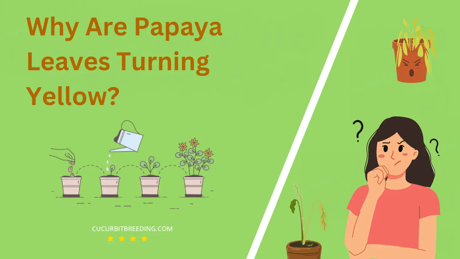 Why Are Papaya Leaves Turning Yellow