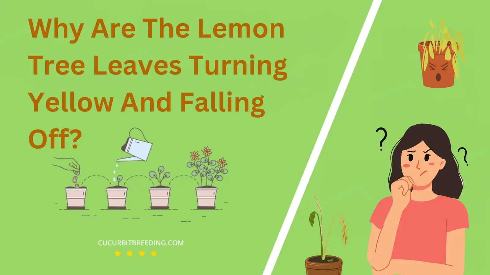 Why Are The Lemon Tree Leaves Turning Yellow And Falling Off