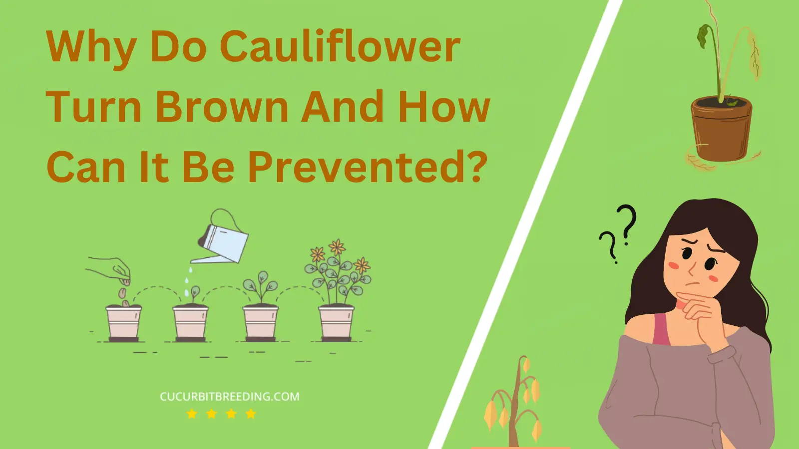 Why Do Cauliflower Turn Brown And How Can It Be Prevented