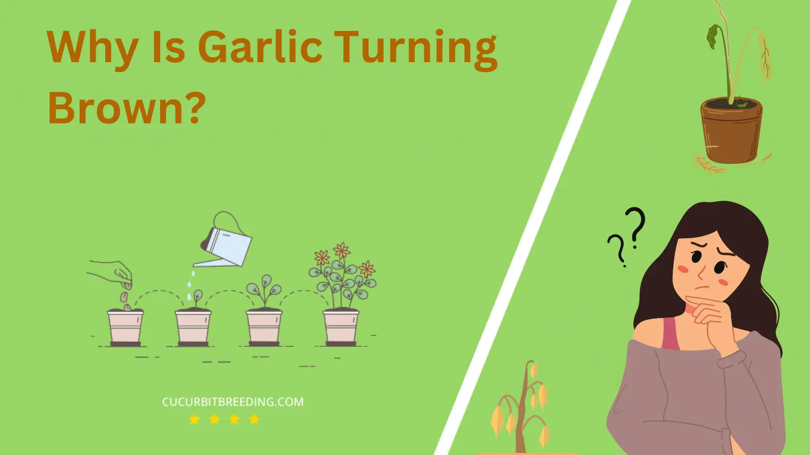 Why Is Garlic Turning Brown