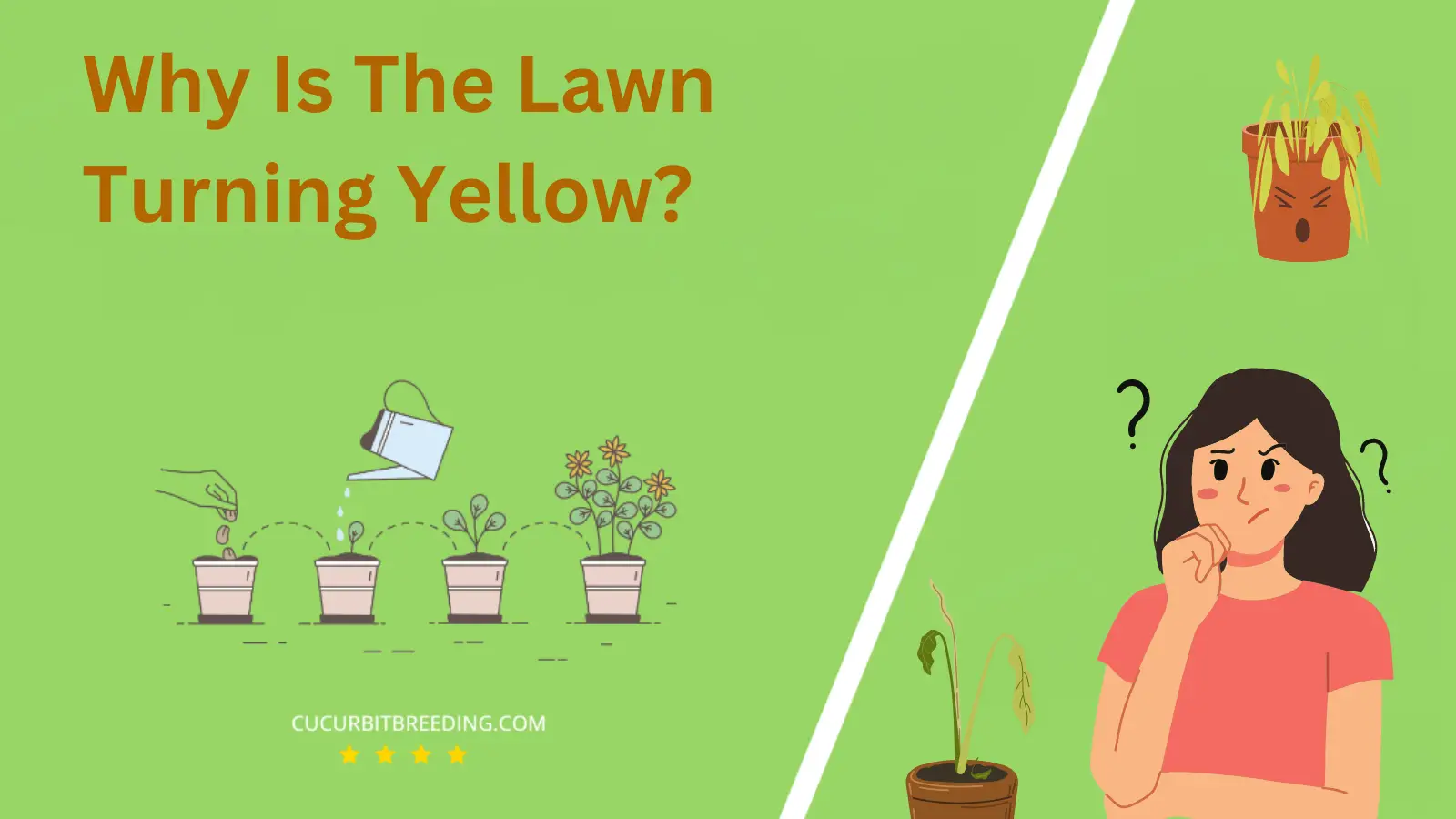 Why Is The Lawn Turning Yellow